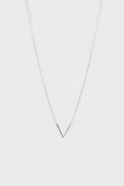 Charm necklace - Silver plunging V_4
