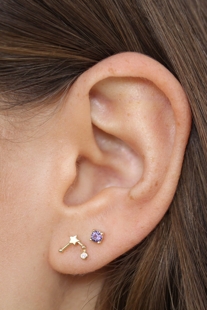 Gold birthstone zodiac earrings / Feb - Amethyst purple_2