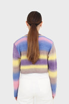 Rainbow thick striped cropped knit top_2