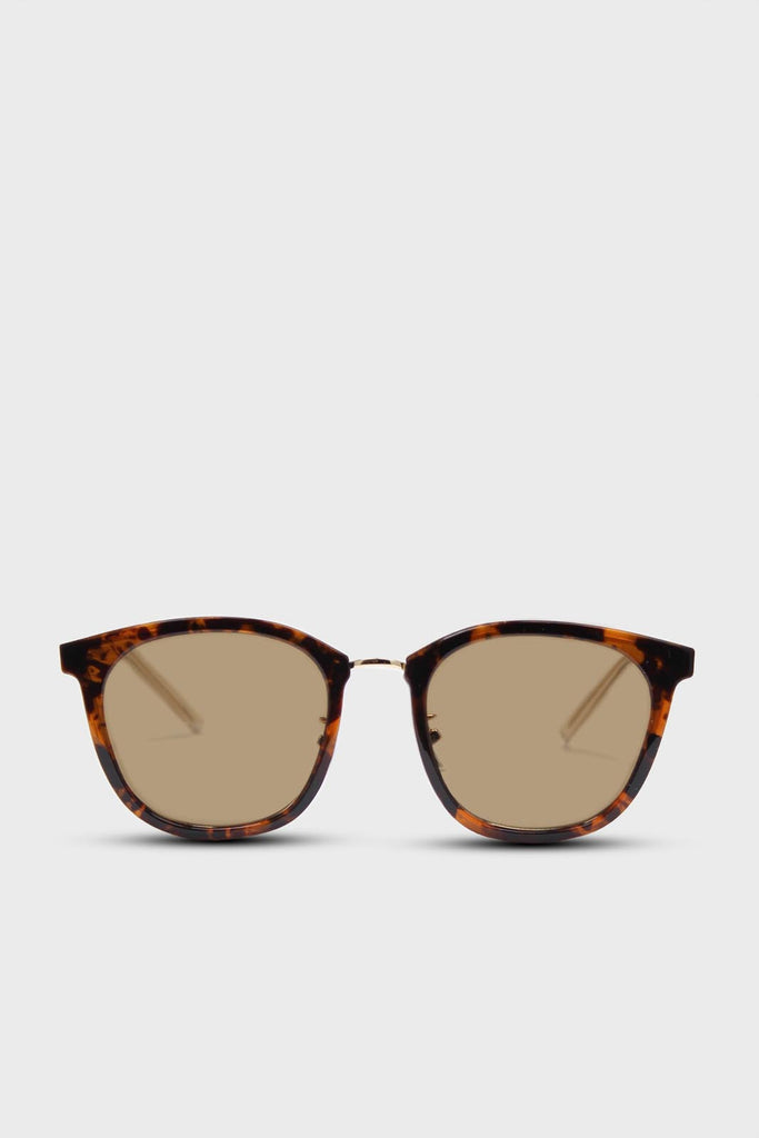 Tortoise shell and gold arm classic sunglasses_1