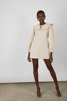 Light beige large collar mini dress_4